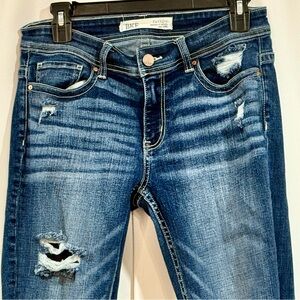 BKE Payton Fit Ankle Jean